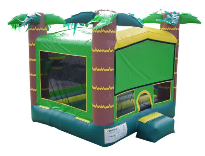 WA Bounce House Seattle Olympia Bounce House Rentals