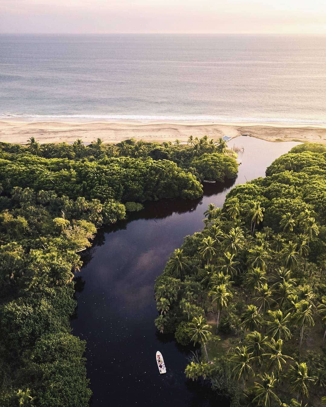 Aerial view of a kayak on a winding river through lush green mangroves leading to the ocean