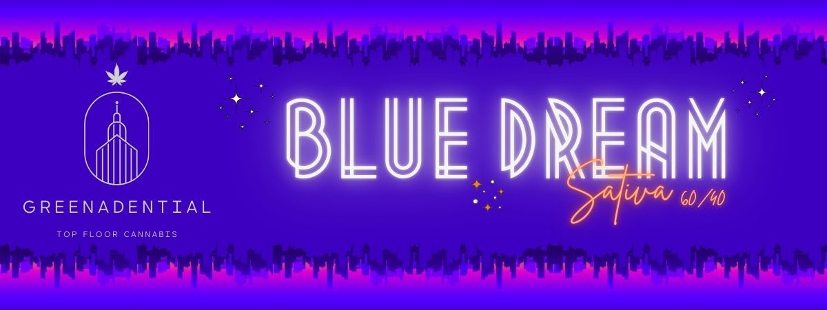 Blue Dream Pre - Rolls