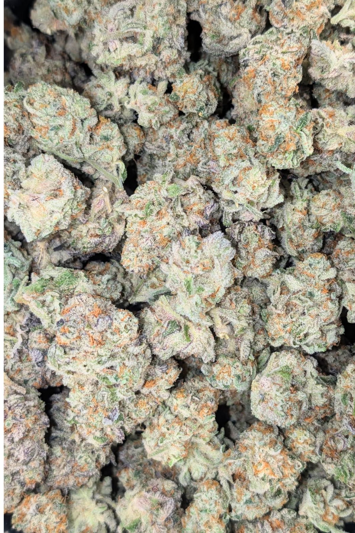 Cap Junky