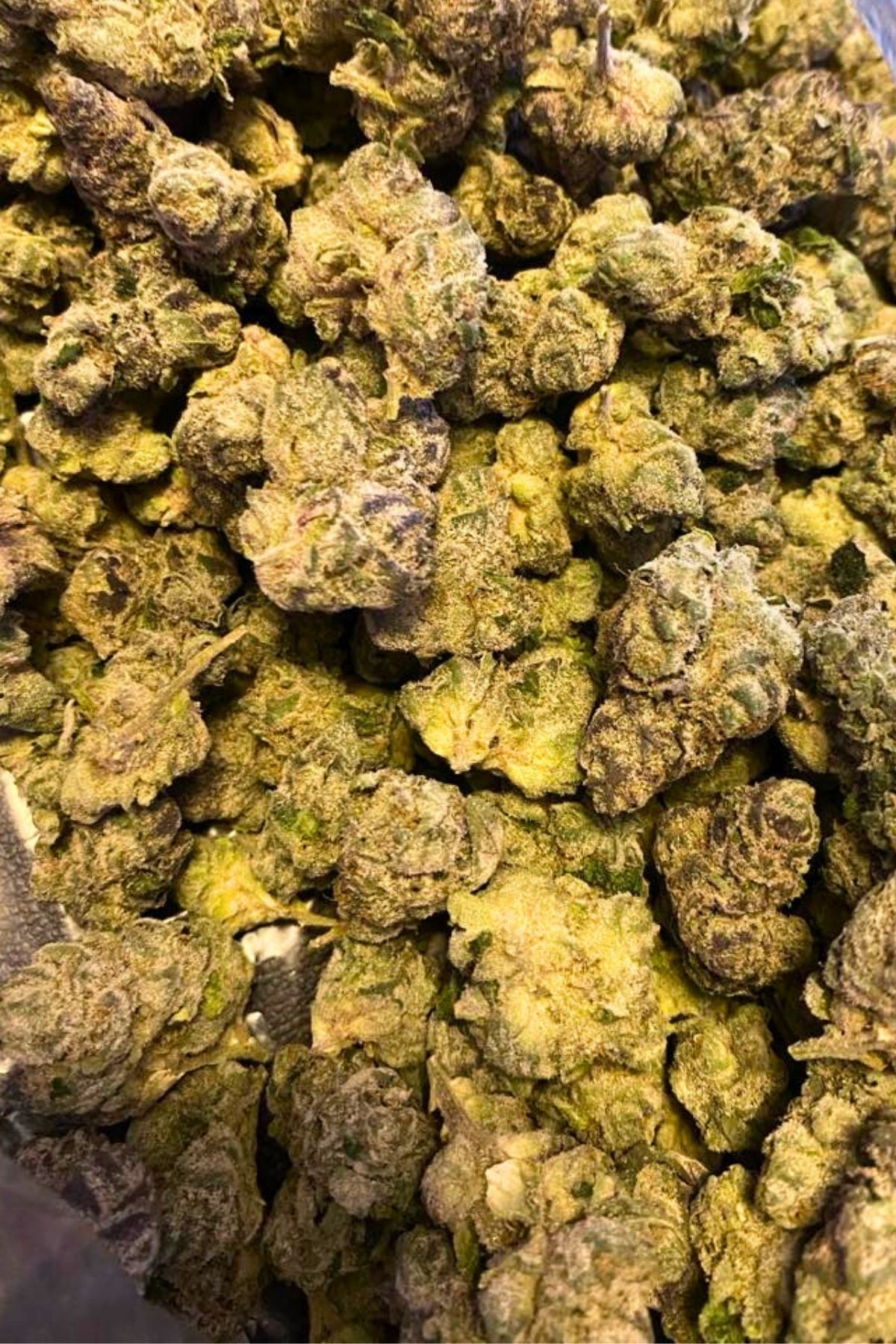 Mochi Melon