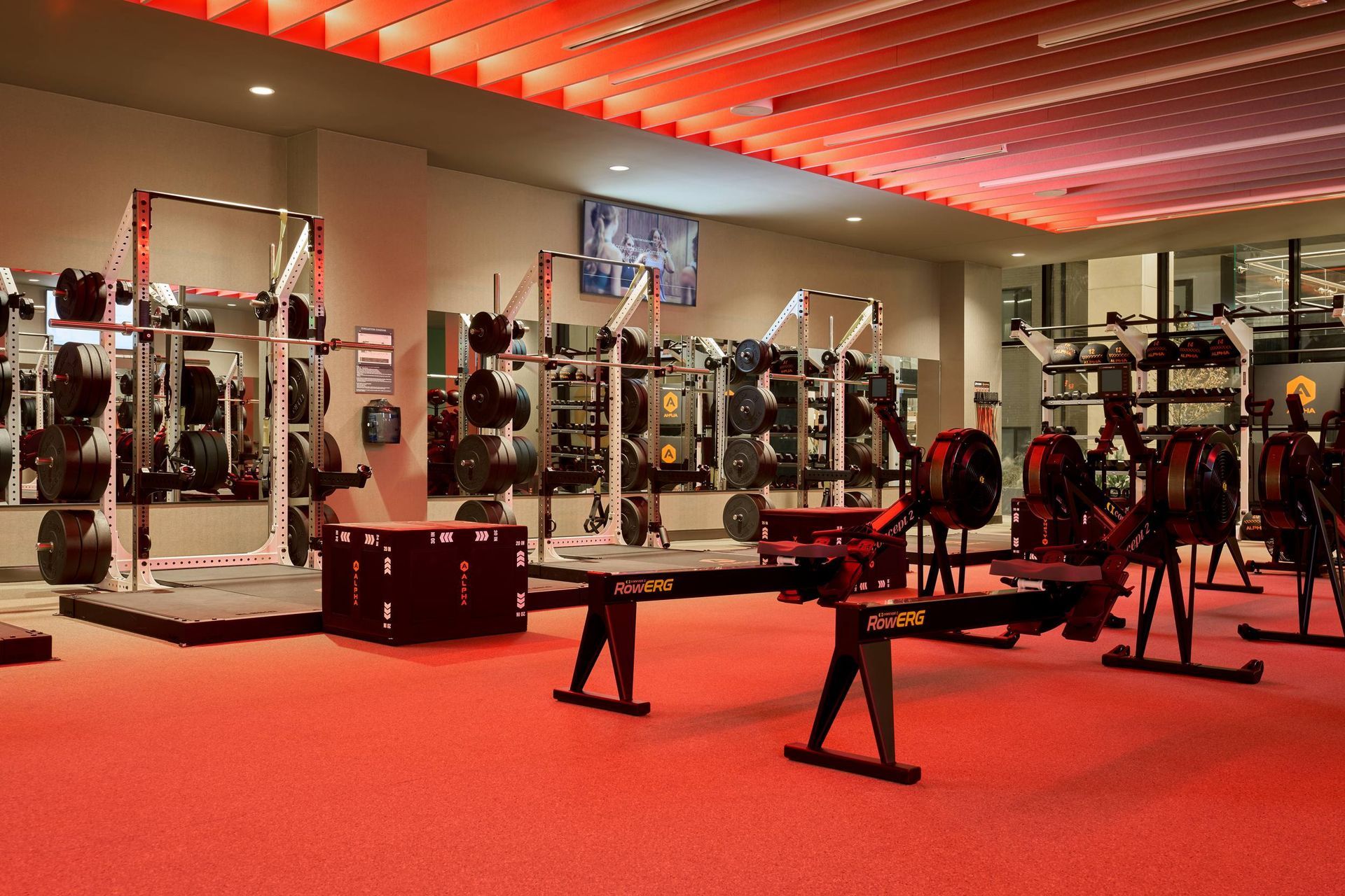 Gym interior with weight racks, rowing machines, red flooring, and a red-toned ceiling.