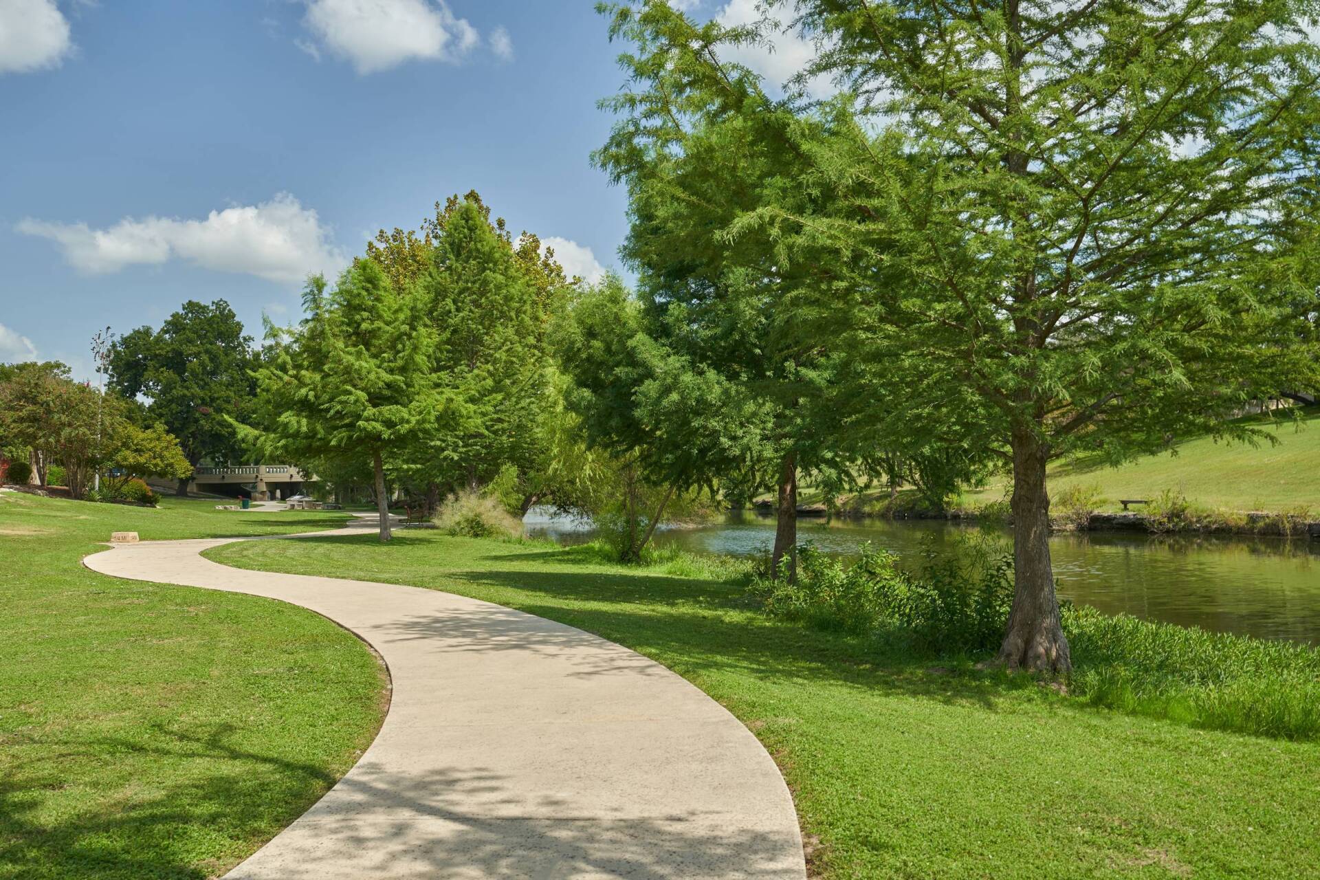 A winding concrete path through a green park with trees and a body of water under a blue sky.