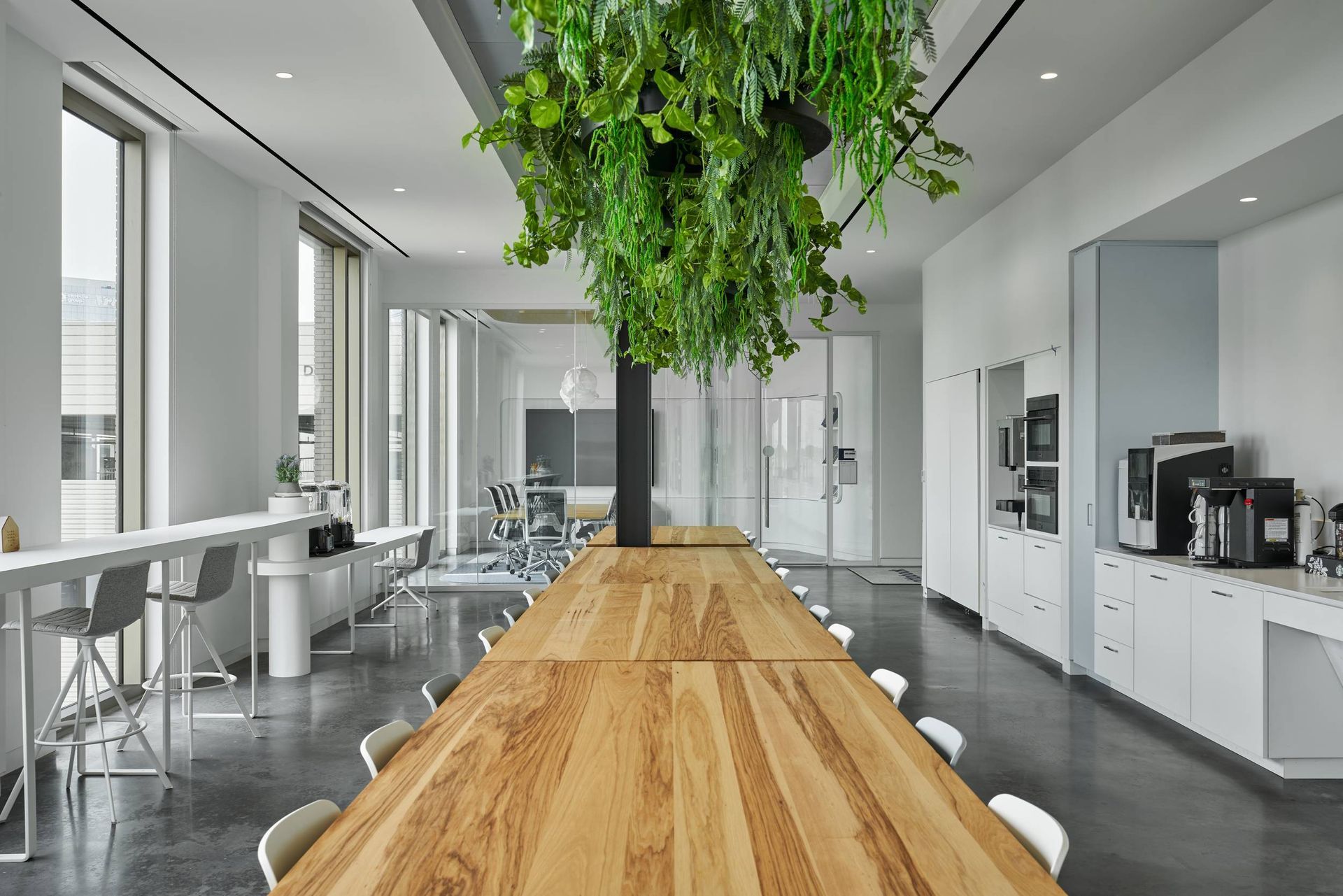 Modern office break room with long wooden table, hanging greenery, white cabinetry, and large windows.