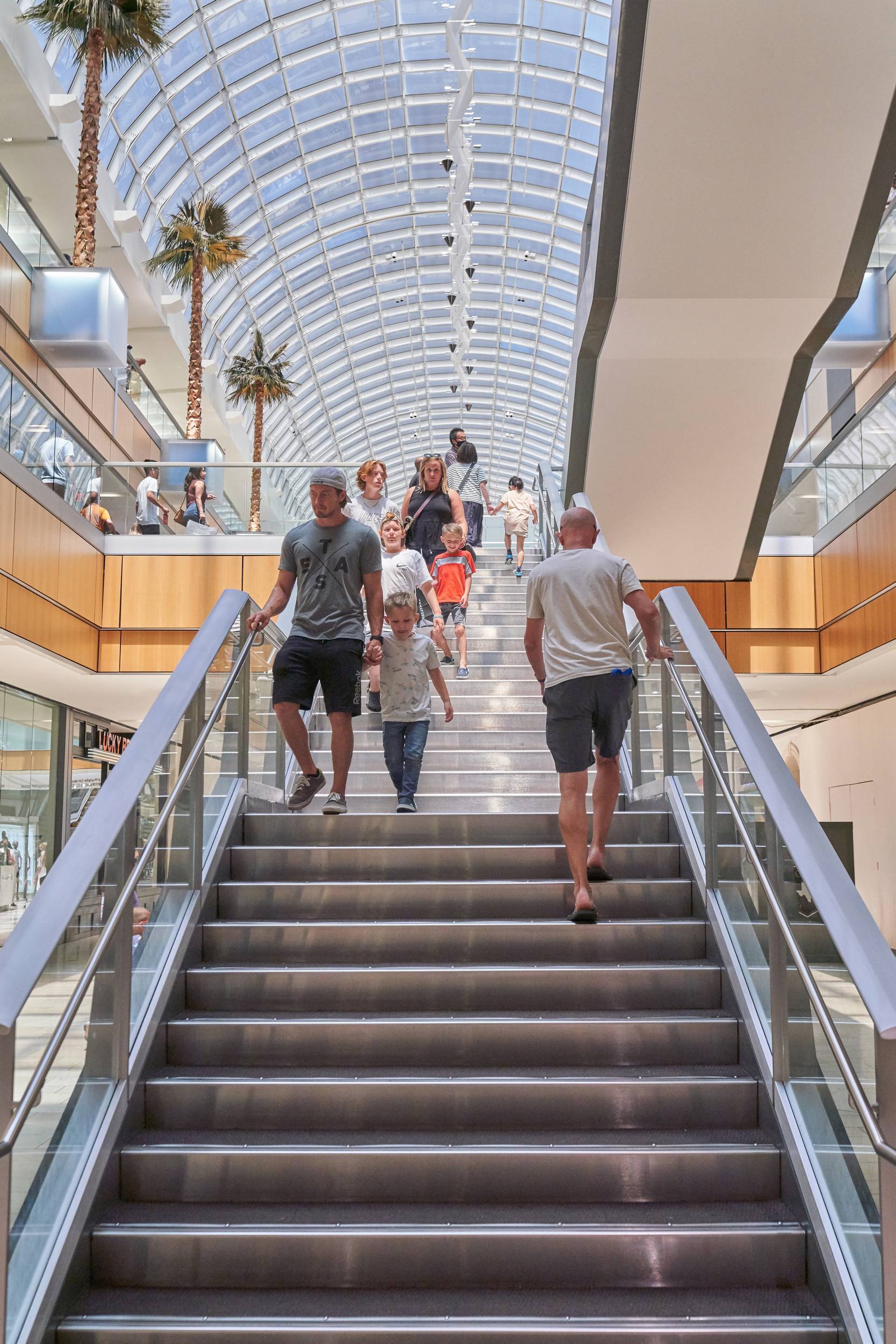 People ascending steps inside a modern mall with a glass ceiling and palm trees.