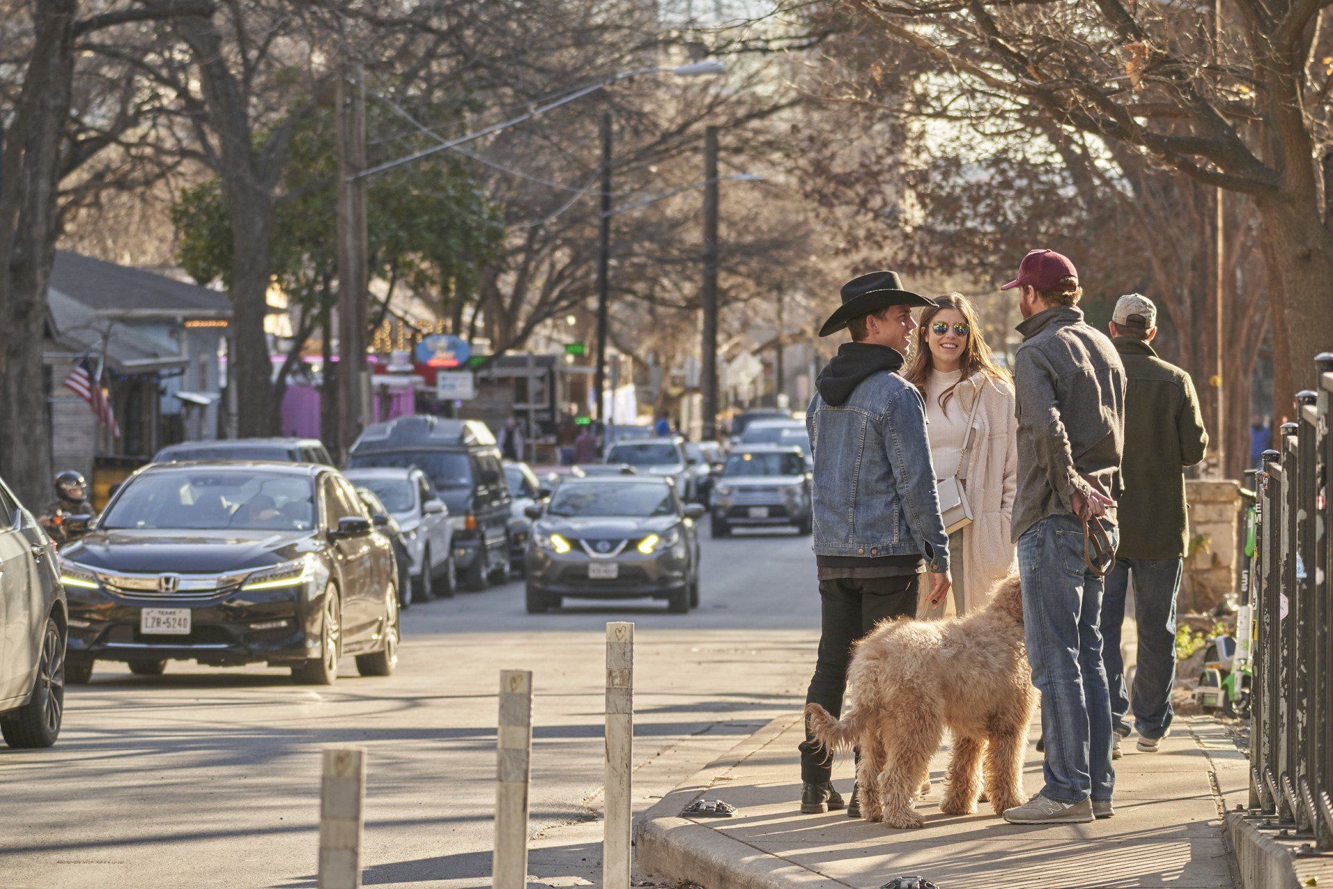 People with a dog on a city sidewalk; cars drive on the street. Trees line the road.