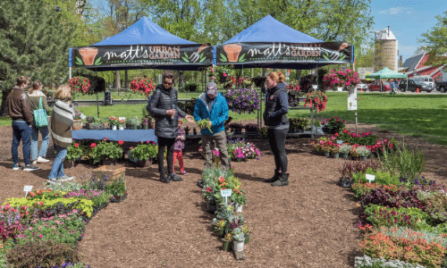 A group of people are standing around a row of potted plants.