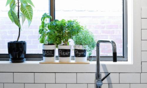 Three potted plants are sitting on a window sill in a kitchen.