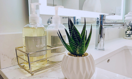 A bathroom sink with a potted plant and bottles of soap.