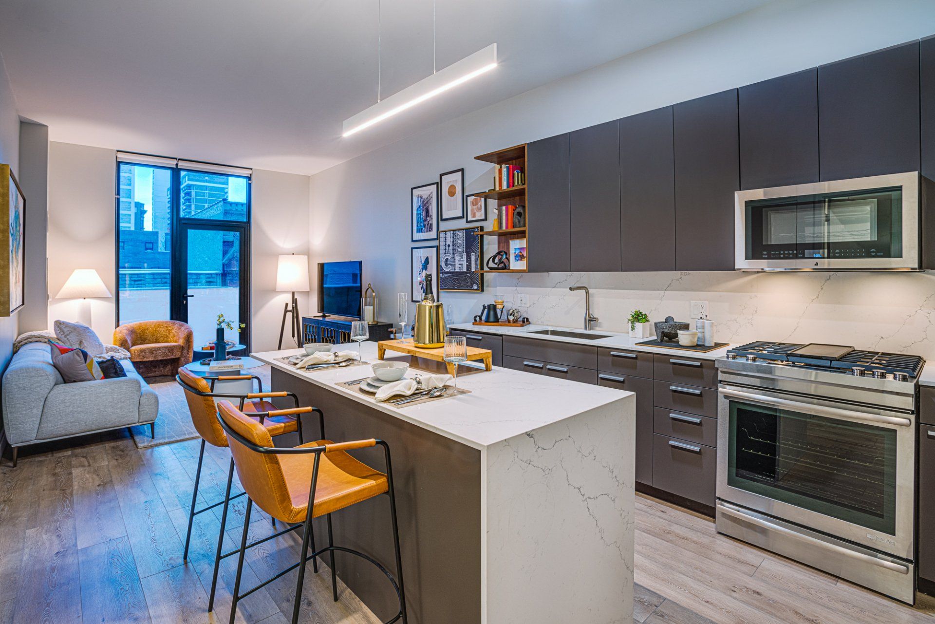 Apartment kitchen and living room.