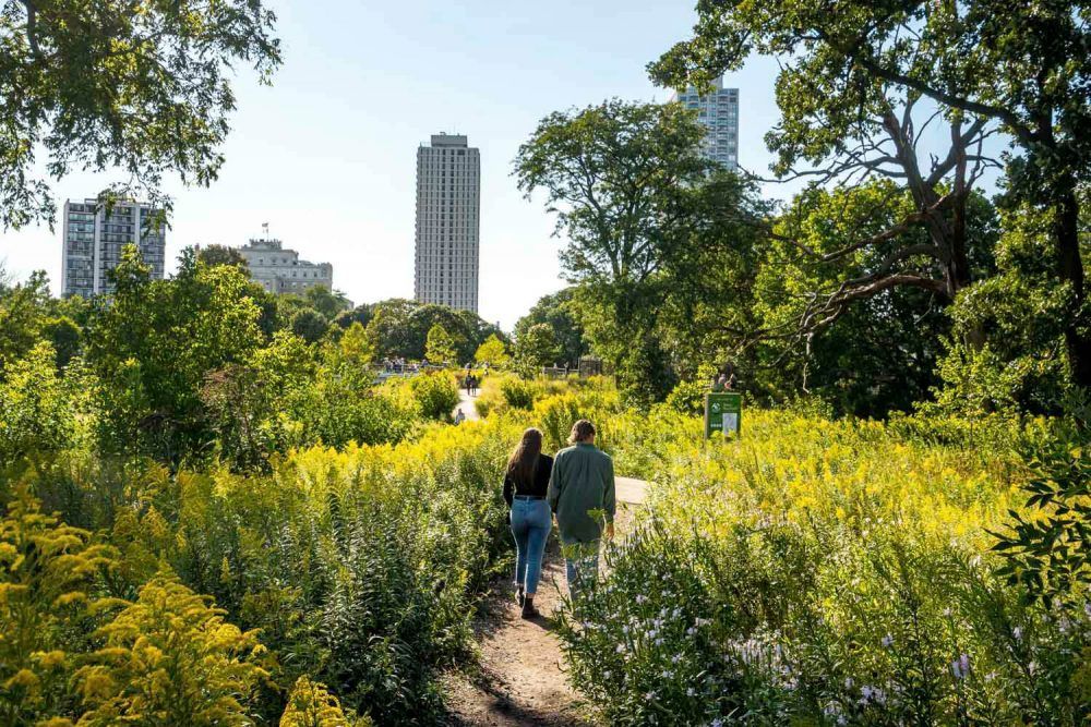 A man and a woman are walking down a path in a park.