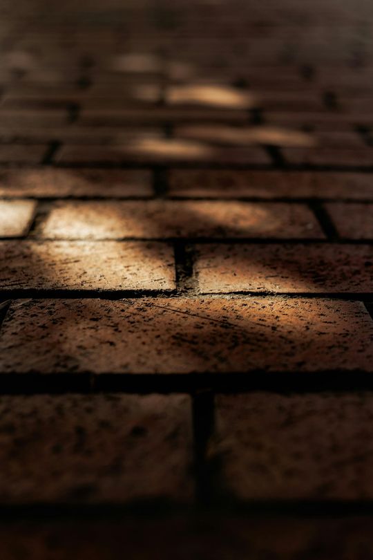 Sunlit brick pathway with long shadows and a shallow depth of field