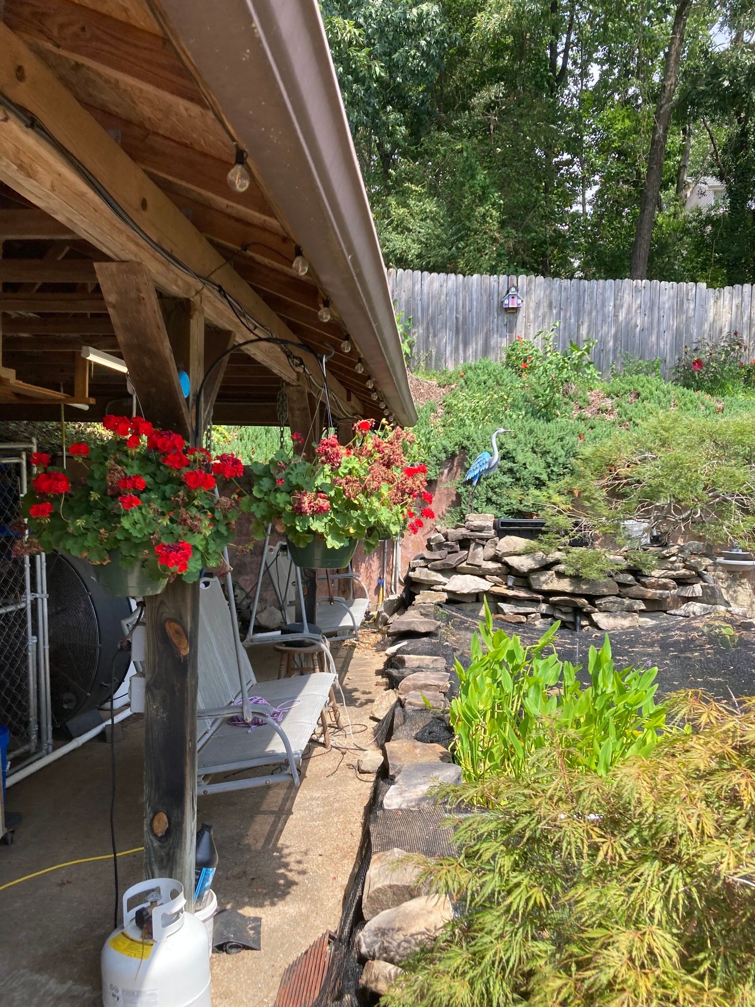 Outdoor shelter with hanging red flowers, next to a stone wall and garden.