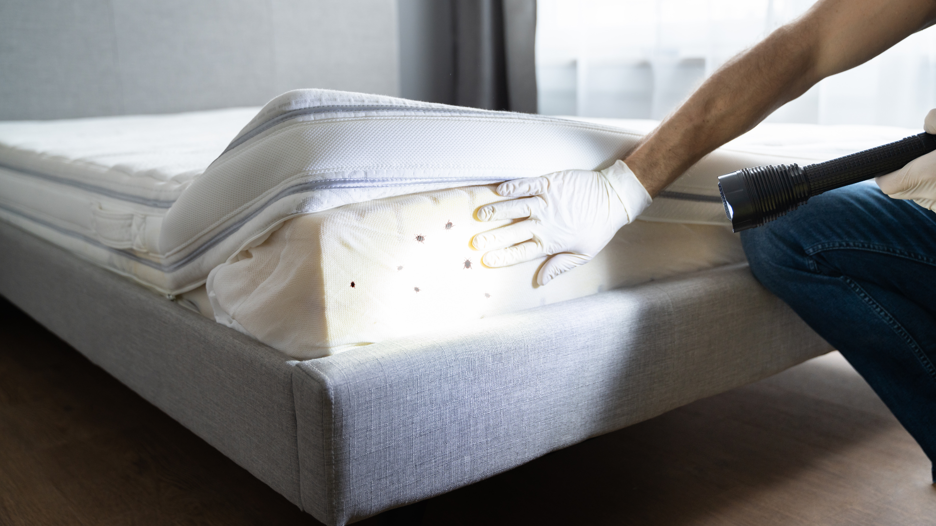 A person inspecting a bed mattress, possibly for pests, wearing gloves and using a flashlight.