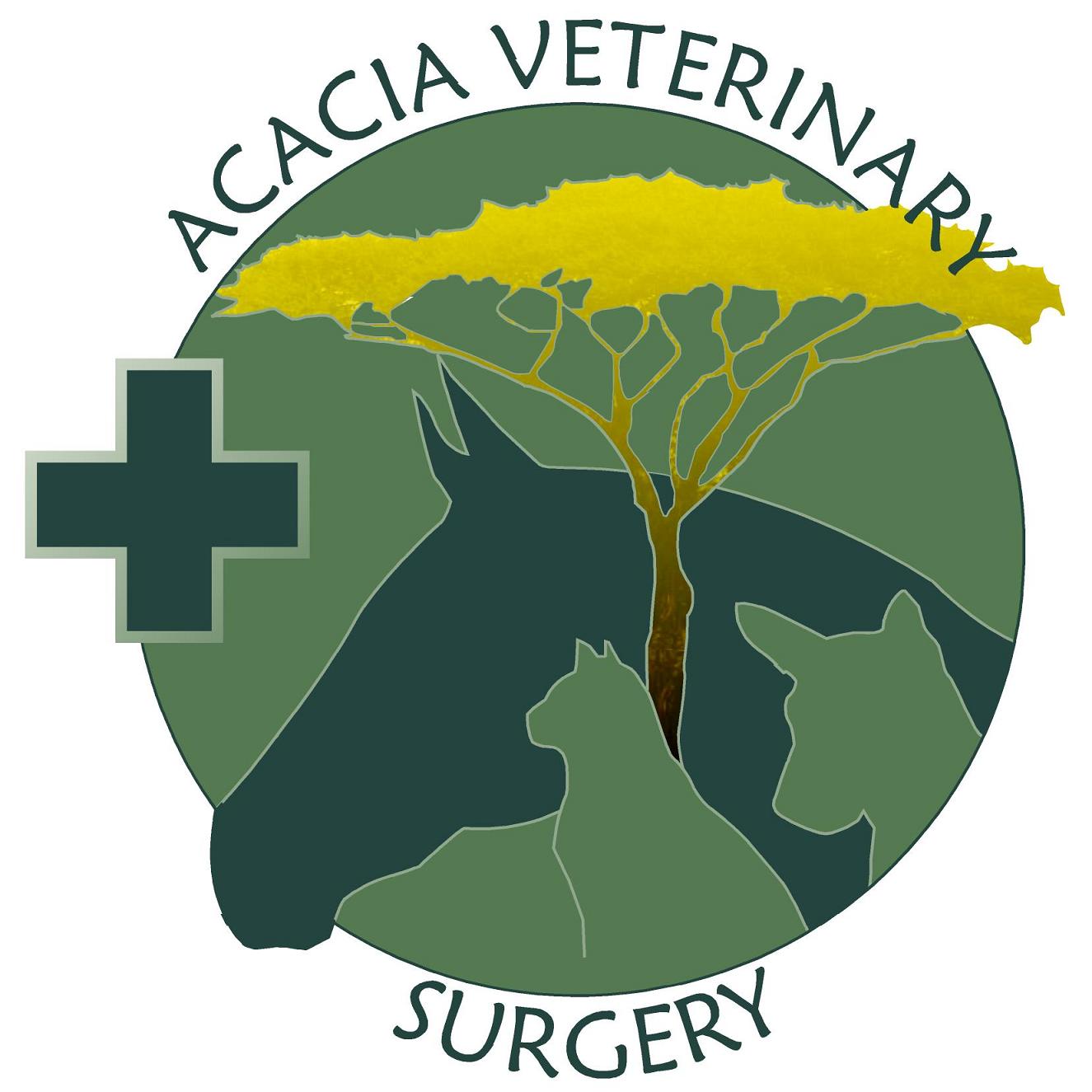 Vet in Yeppoon