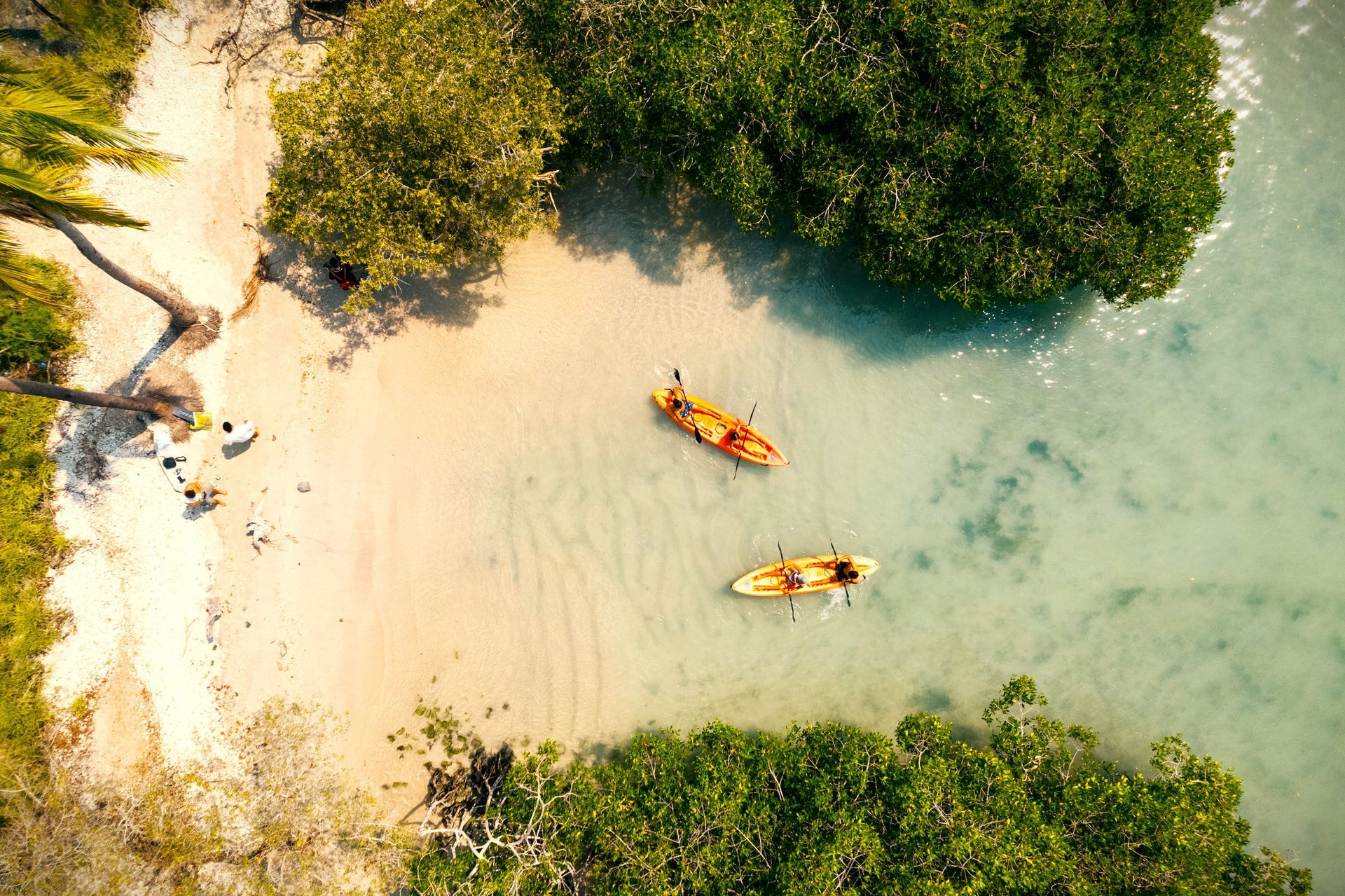 Dos kayaks en agua turquesa cerca de una playa de arena y manglares verdes.