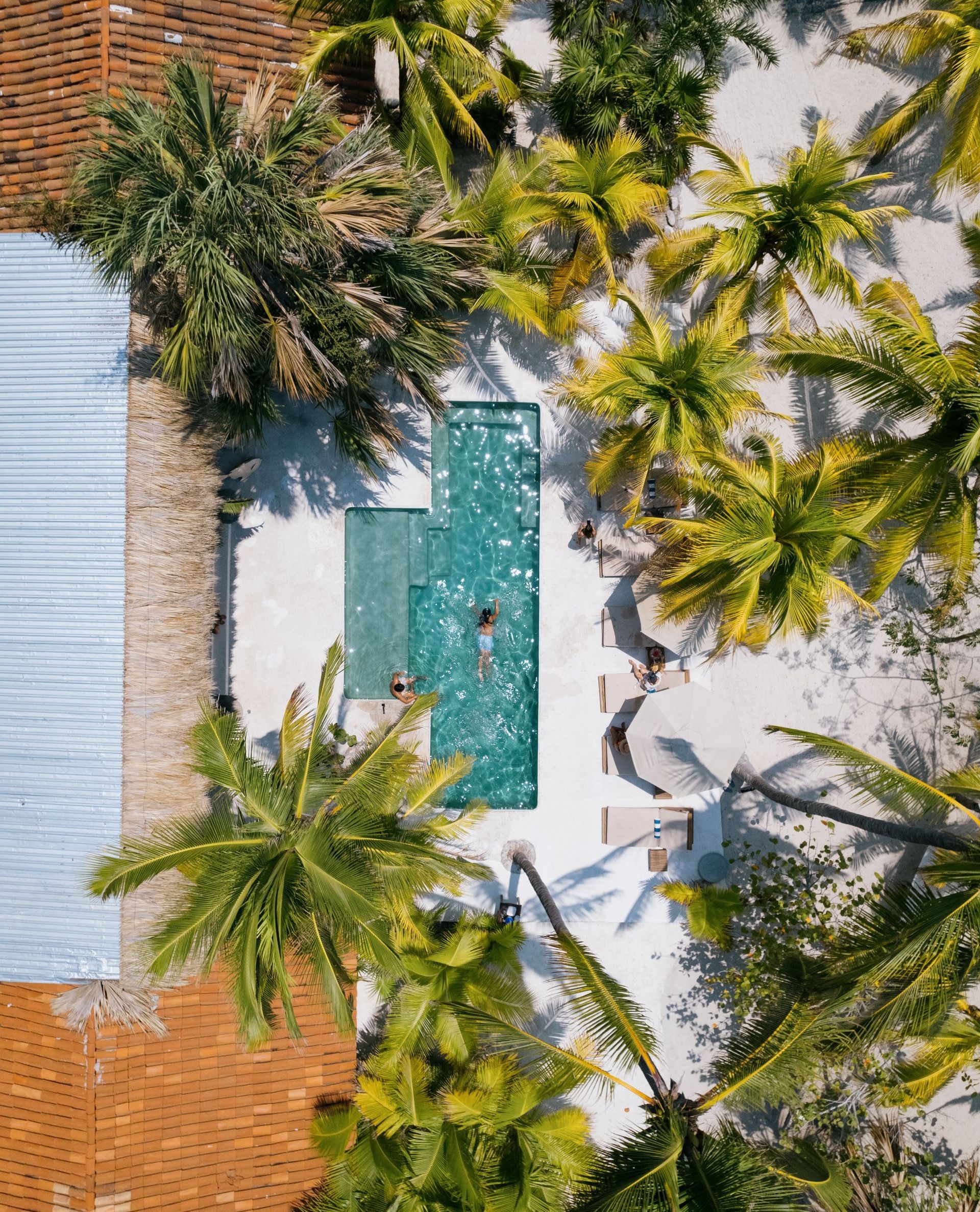 Vista aérea de una piscina rectangular rodeada de palmeras, con una persona nadando en el agua turquesa.