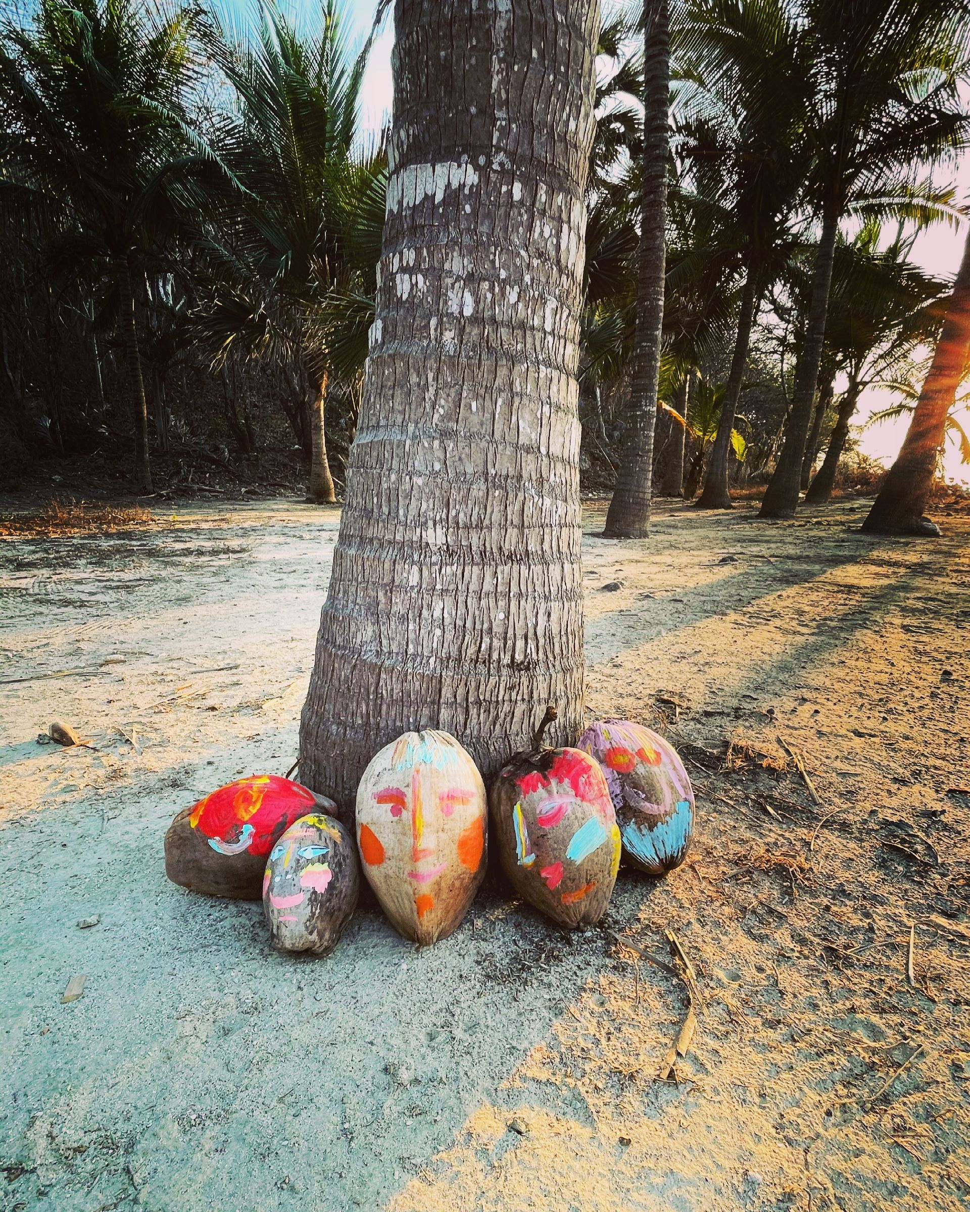 Cocos pintados en la base de la palmera en la playa de arena.