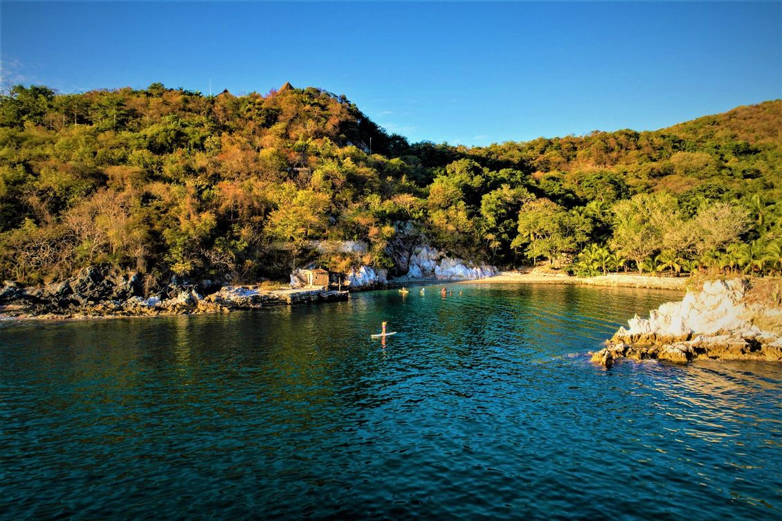 Una persona practicando paddleboarding , rodeada de frondosos árboles verdes y acantilados rocosos bajo un cielo azul.