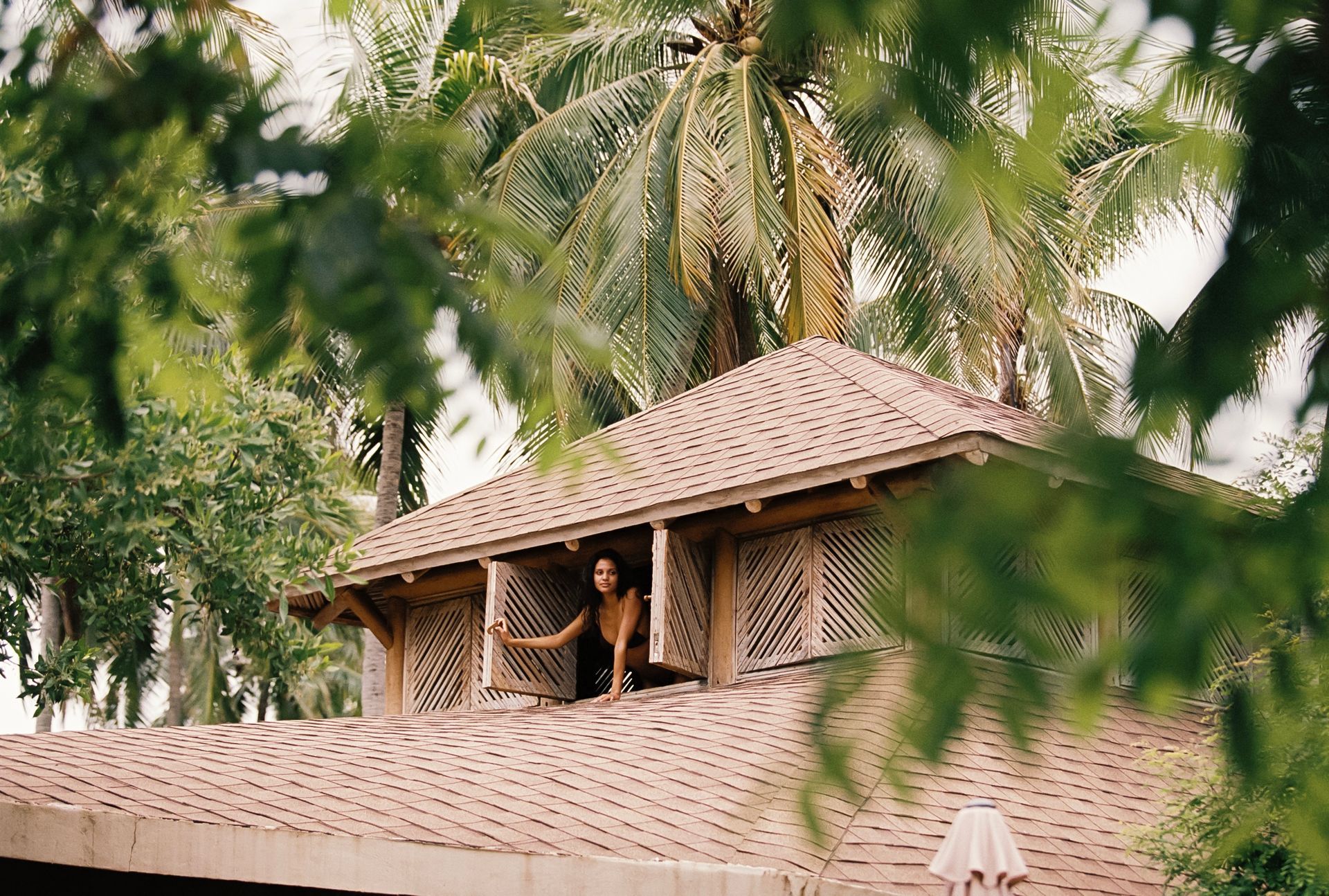 Woman in dark clothing leans out of a rooftop opening with palm trees in background.