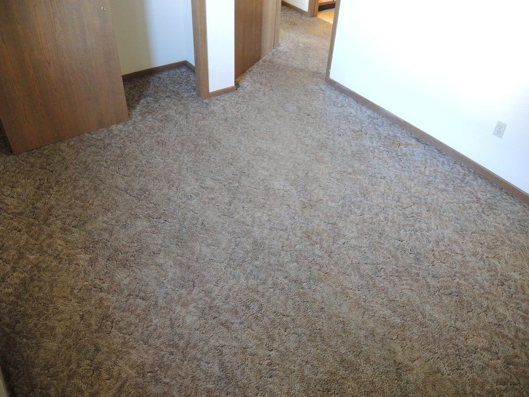 Empty carpeted room with wood trim and an open doorway