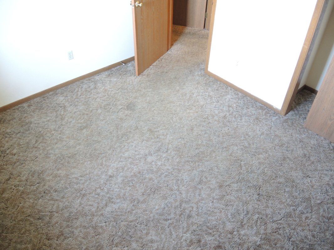 Empty carpeted room with white walls and an open wooden door.