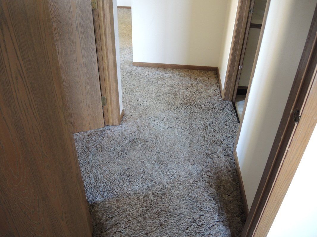 Narrow carpeted hallway with beige walls and doorways on both sides