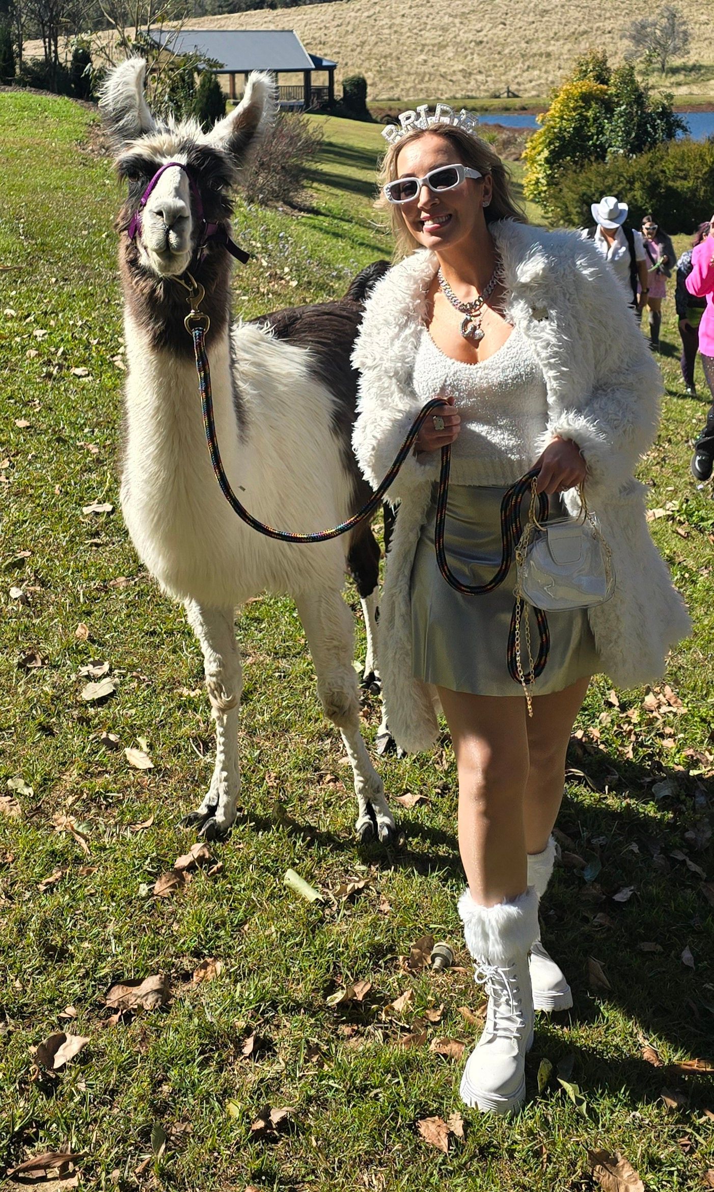 staring at Llama