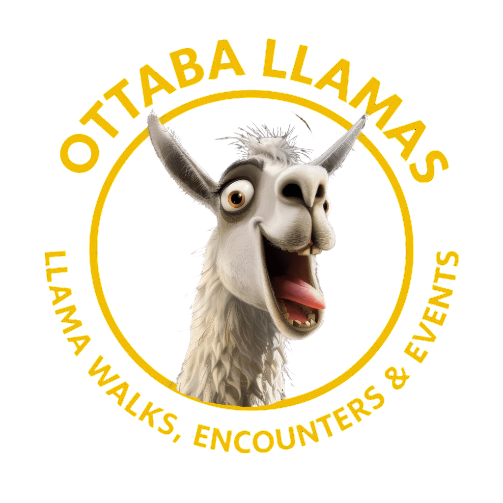 alternative logo