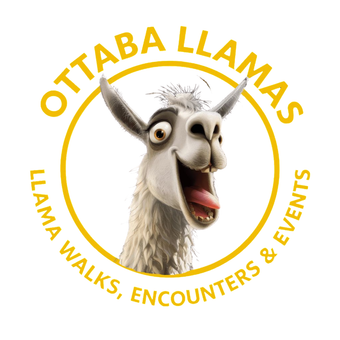 alternative logo