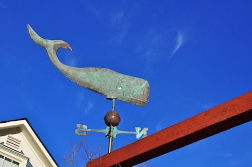 A weather vane with a whale on top of it