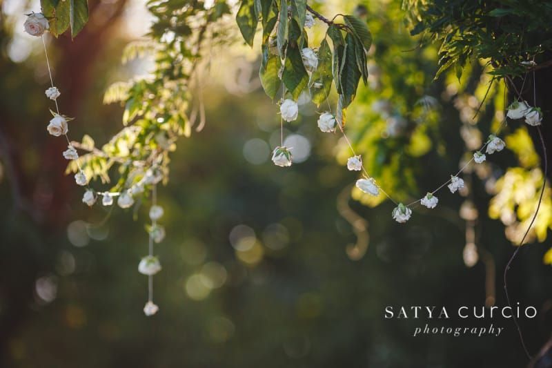 A string of white flowers is hanging from a tree branch.