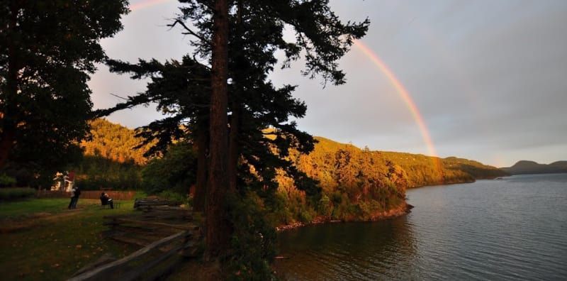 A rainbow over a lake with trees in the foreground
