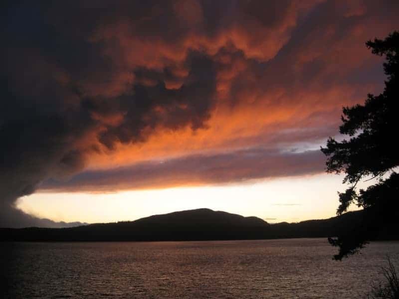 A sunset over a lake with a tree in the foreground