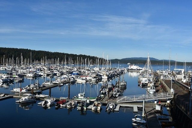 A marina filled with lots of boats docked in the water.