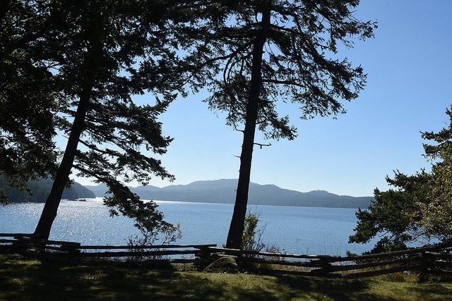A view of a lake through the trees with mountains in the background