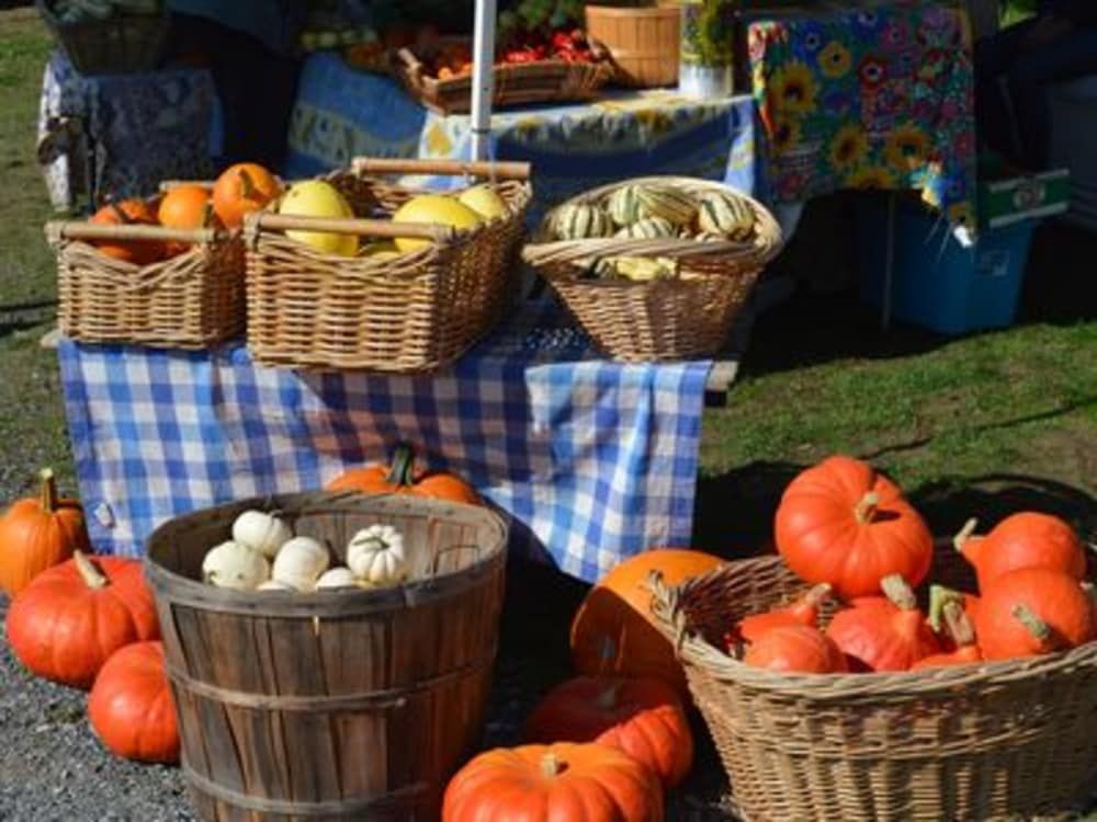 A table with baskets of pumpkins and apples on it