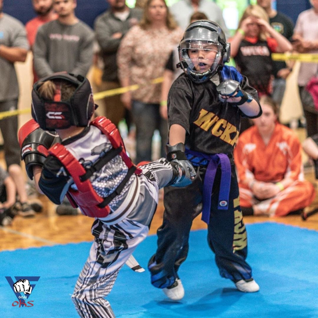 adult martial arts