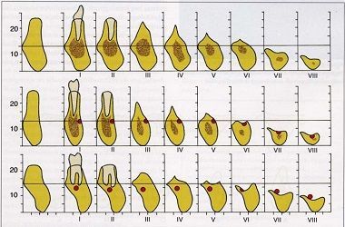 Grafico scientifico composto da forme irregolari gialle disposte su tre righe