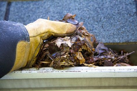Person removing leaves from a gutter, as part of a gutter cleaning service in Germantown TN.