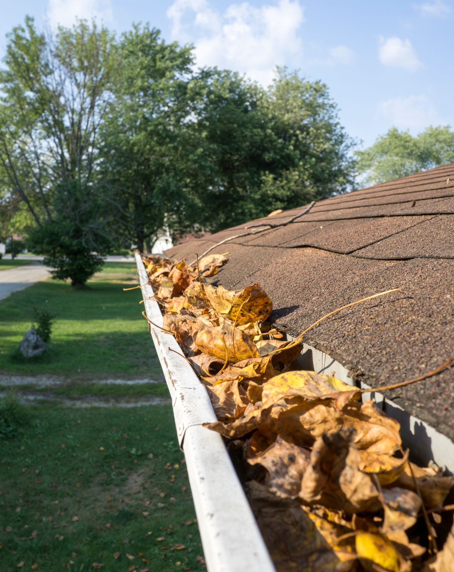 Leaves in gutter ready to be cleaned by Bartlett Gutter Company, the expert Gutter Cleaning Service in Collierville, TN.