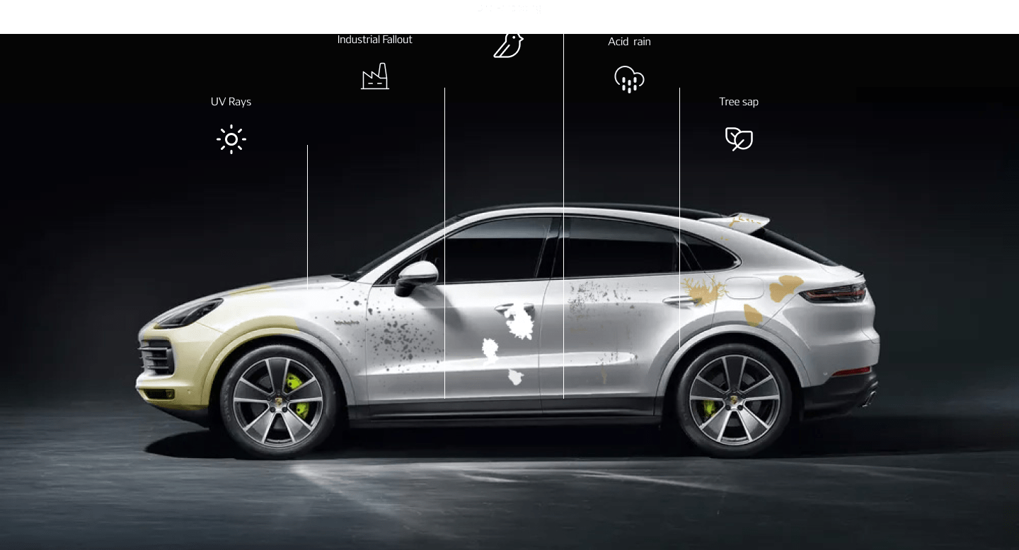 window tint visualizer