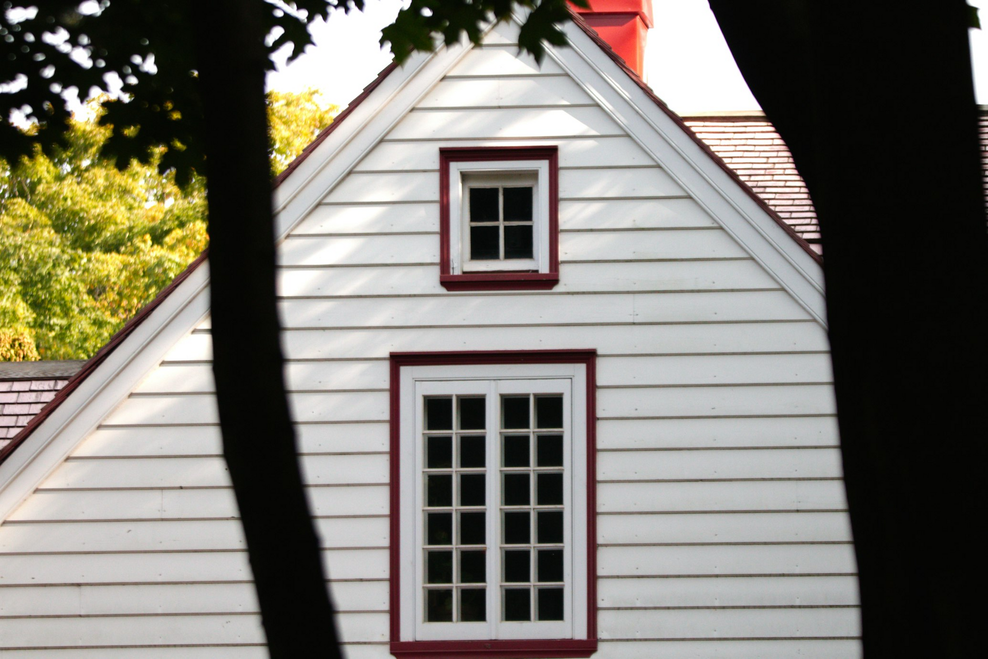 window film 