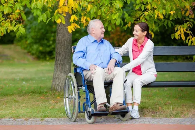 An elderly person in a wheelchair and a person on a bench talking in a park.