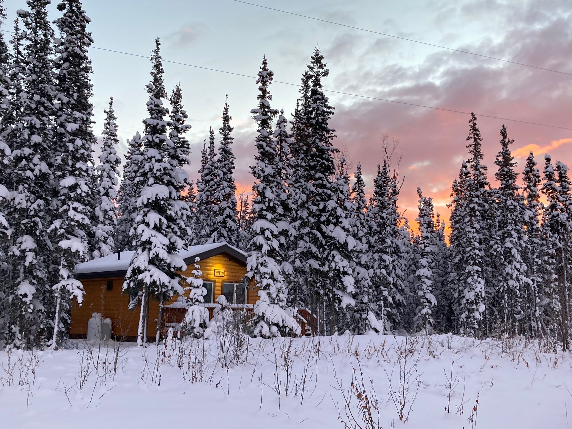 A small cabin in the middle of a snowy forest.
