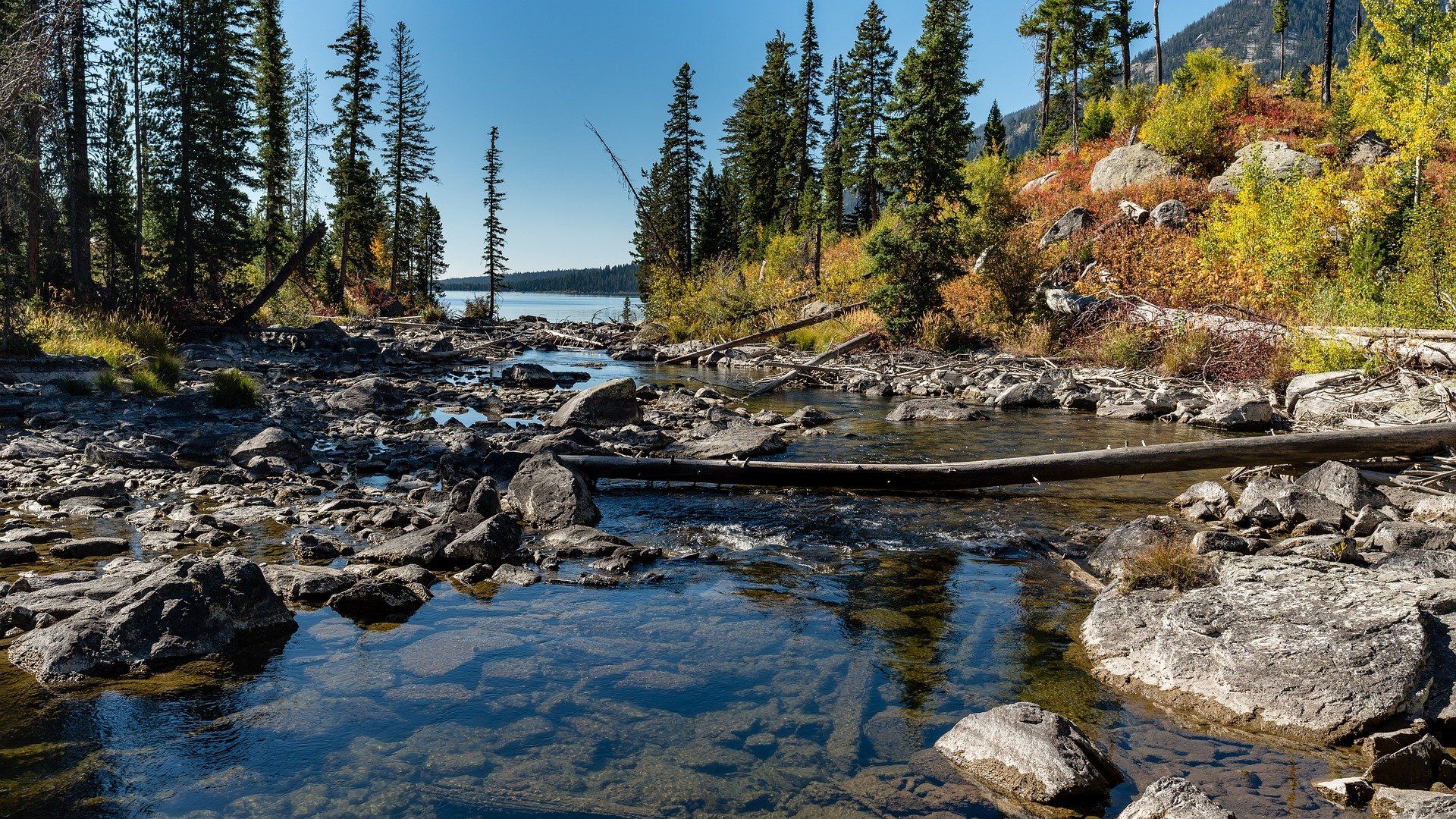 A river runs through a rocky area surrounded by trees.