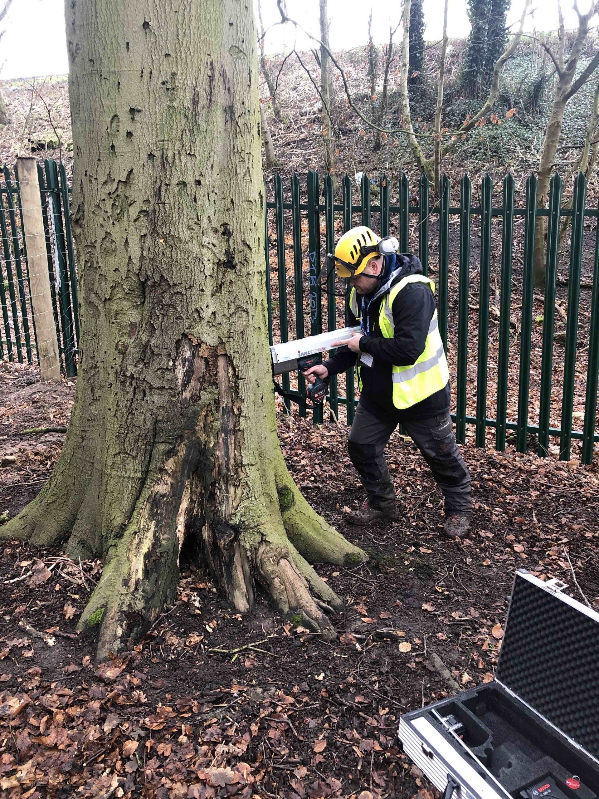 Tree Surveying and Tree Inspections | Duty of Care Surveys