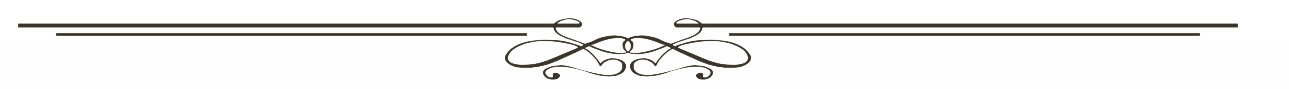 Decorative black floral divider centered between two thin horizontal lines on a white background