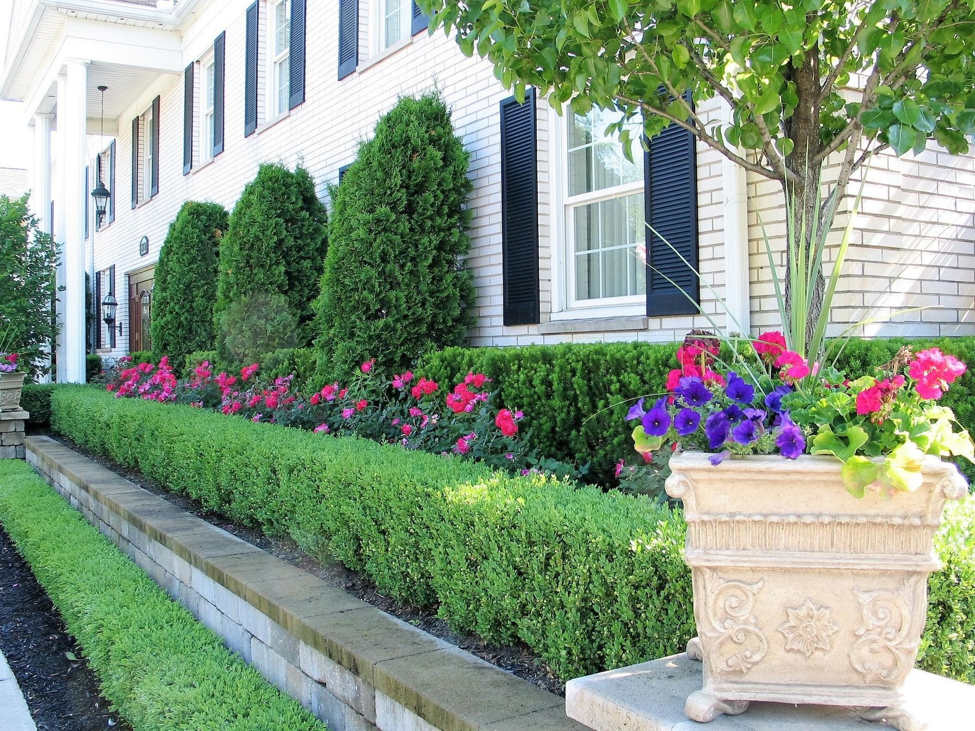 Landscaped sidewalk beside a white house with trimmed hedges, pink flowers, and a planter of purple blooms