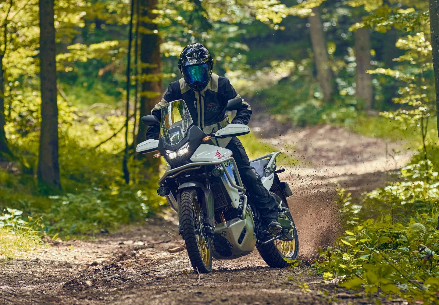 Motorcyclist riding a dirt bike through a wooded trail, kicking up dust.